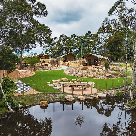 圣海伦斯 Glamping 148 Tasmania酒店 外观 照片