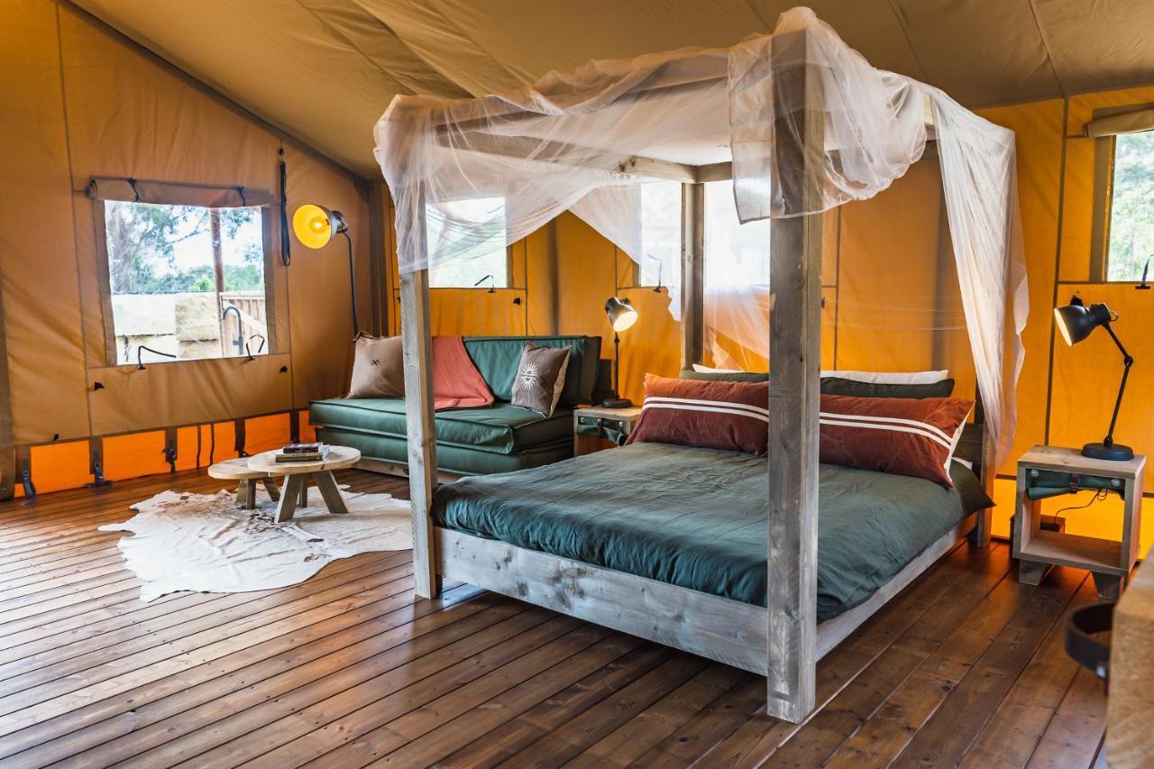 圣海伦斯 Glamping 148 Tasmania酒店 外观 照片